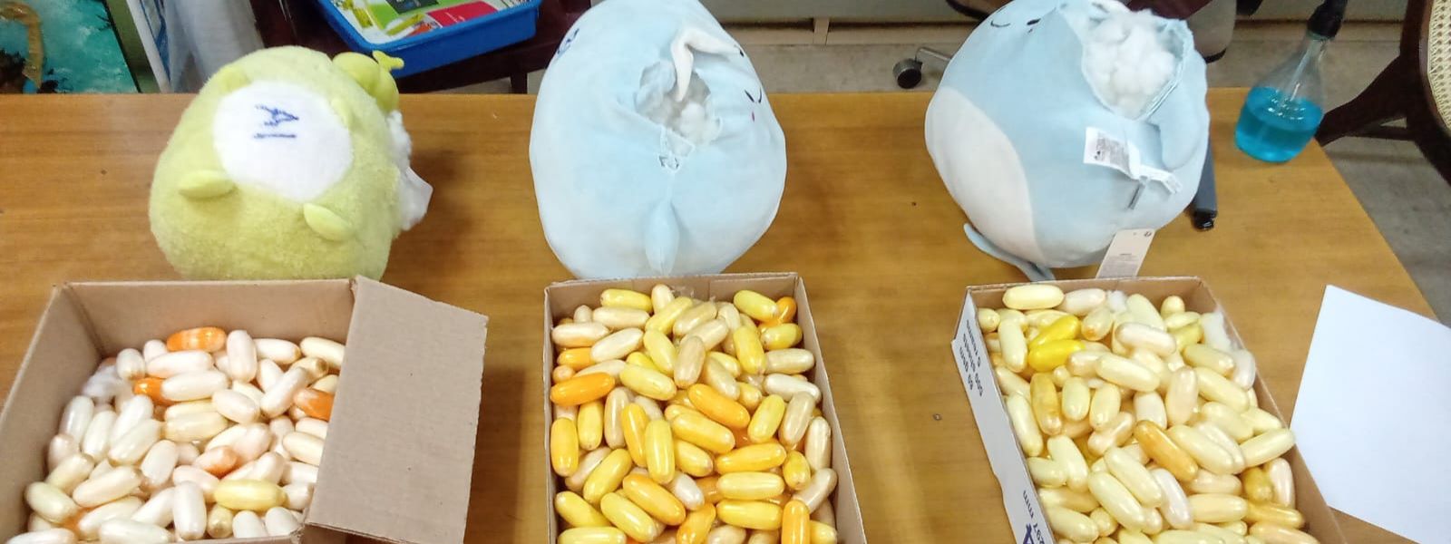 Cocaine in Teddy Bears: Italian Man Caught At BIA